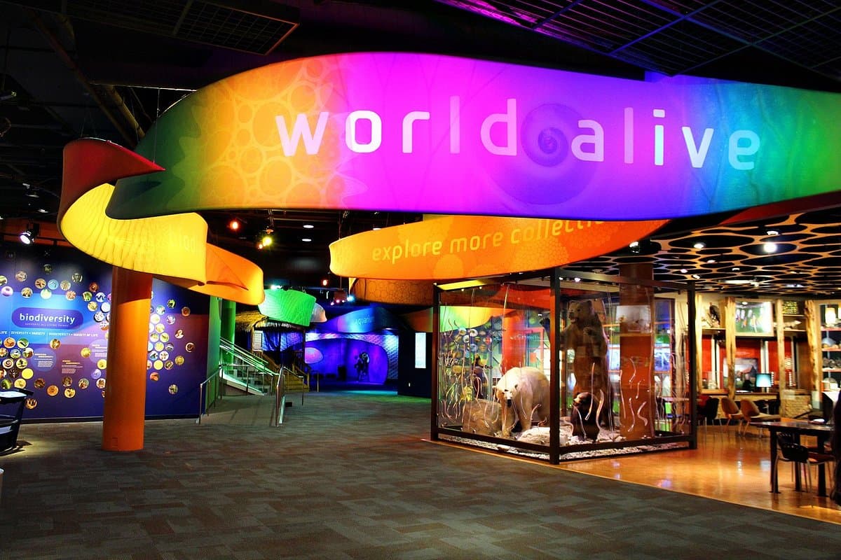 Discovery Place Science in NoDa